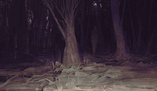 dark woods