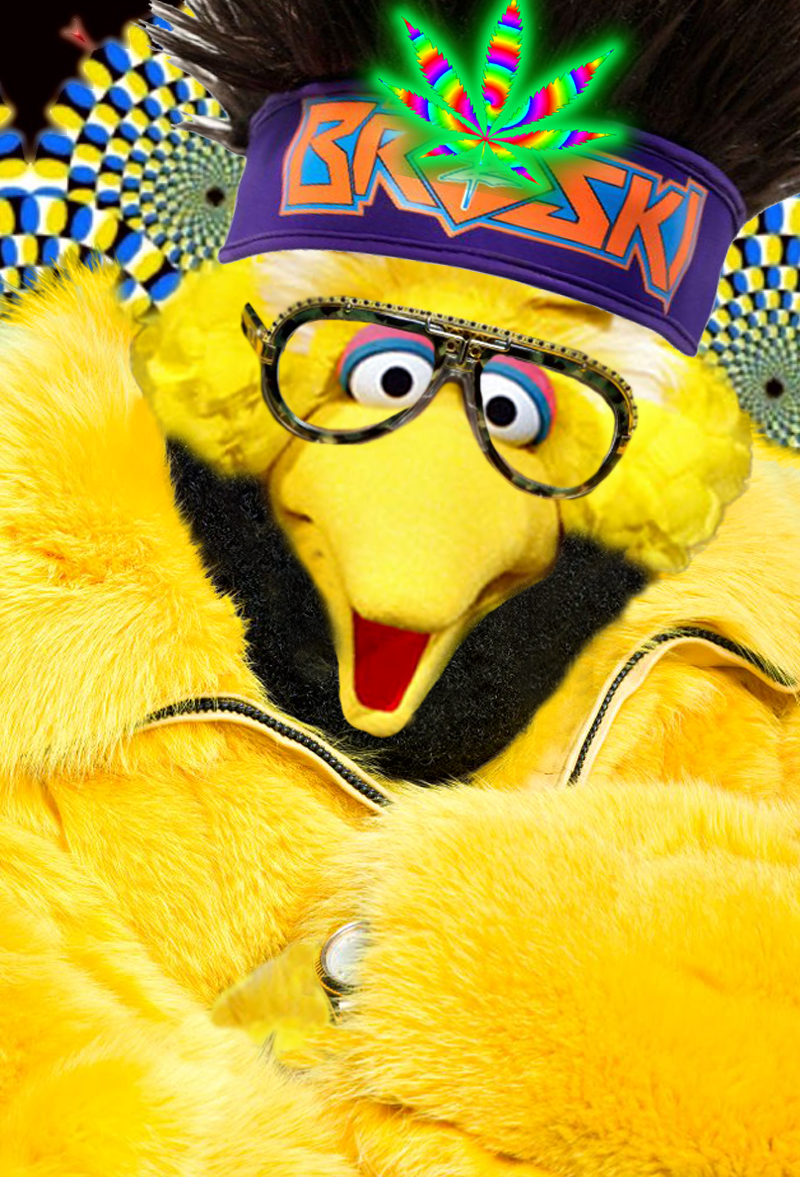 Big Bird Boss