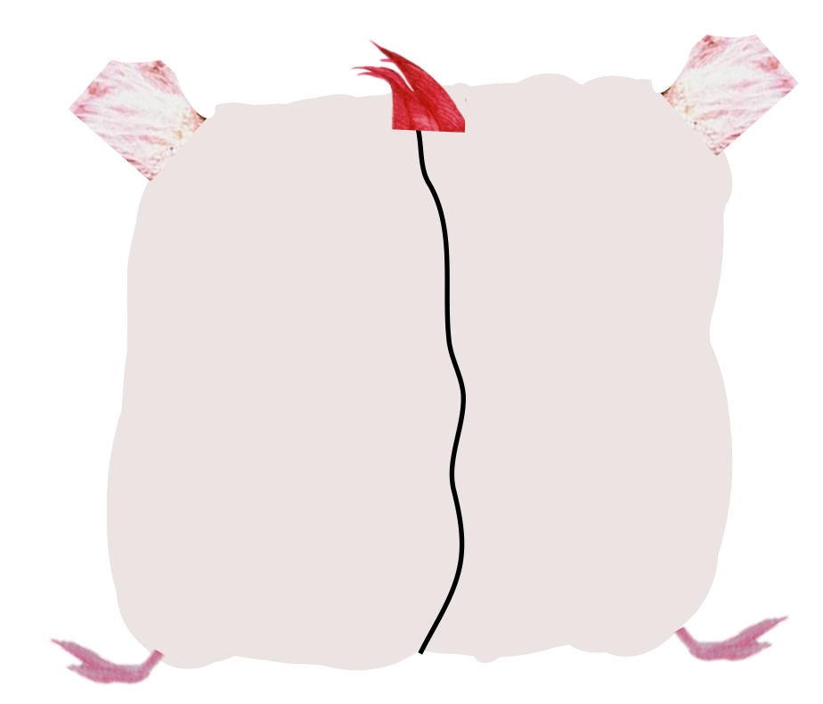 Flamingo Inflation Fat Placido Flamingo The Butt by inflationrules on DeviantArt