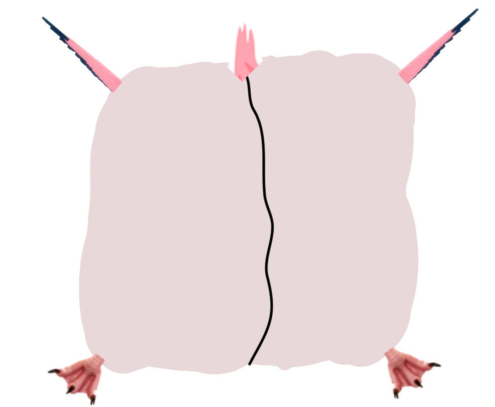 Flamingo Inflation Fat Flamingo The Butt (Alice In Wonderland) by inflationrules on DeviantArt