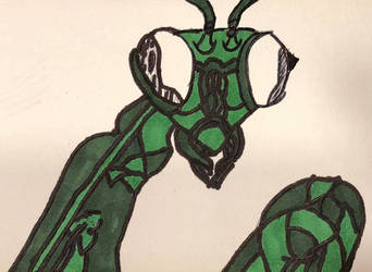 Praying Mantis / Insectoid