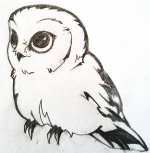Owl tattoo