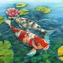 Koi and Waterlilies