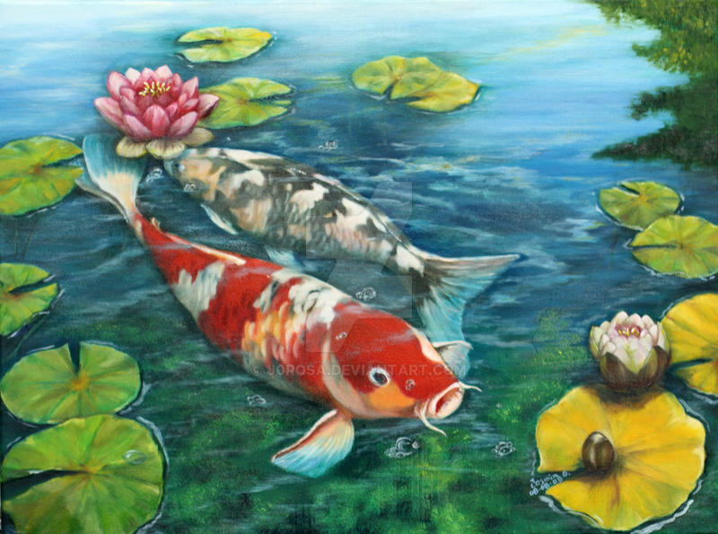 Koi and Waterlilies