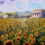 Sunflower field, France
