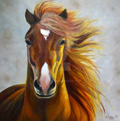 Jas Horse