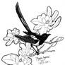 Book Sketch - Magpie Magnolia