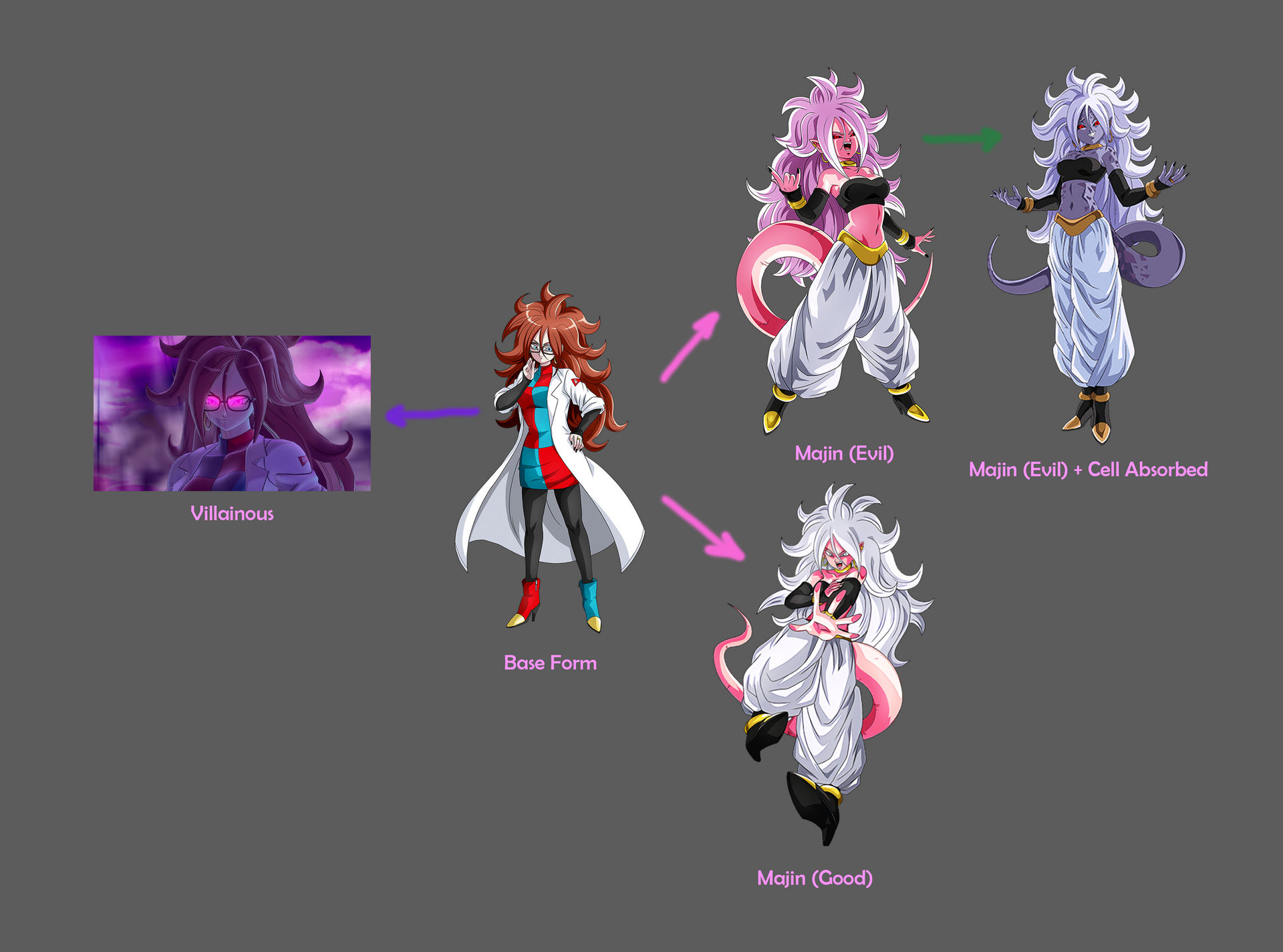 Android 21 Transformation Chart by GoldenKranic360 on DeviantArt