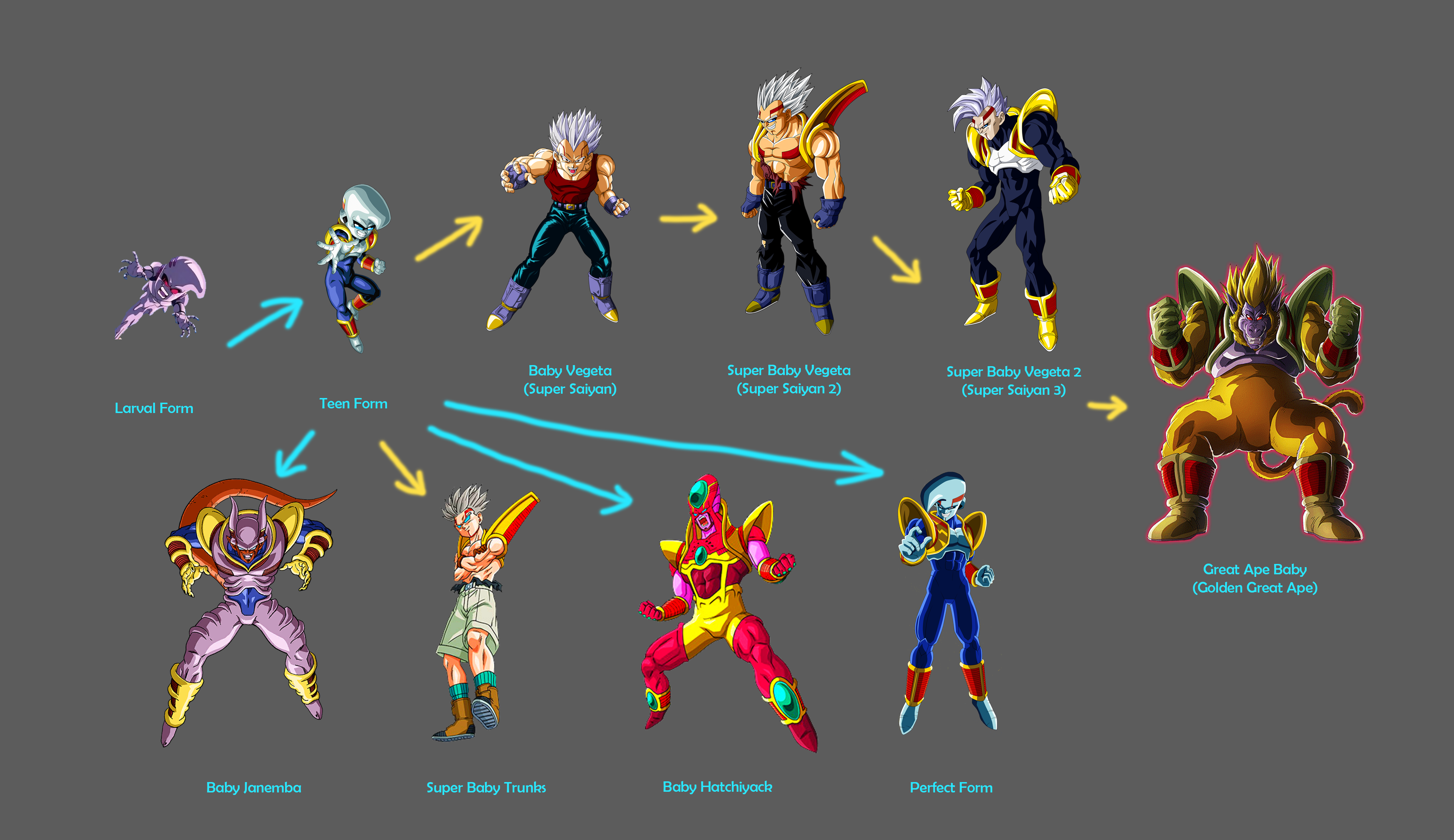 Baby Transformation Chart by GoldenKranic360 on DeviantArt