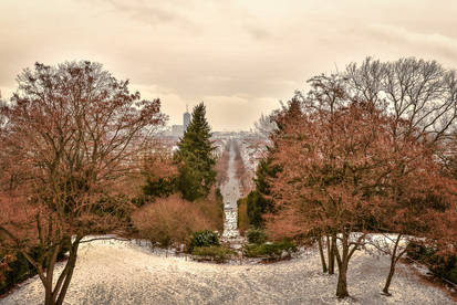 Winter in Berlin