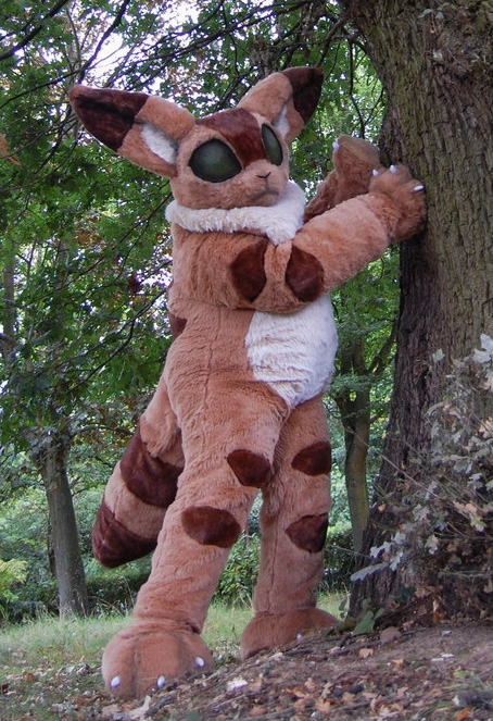 Teto climbs a tree!