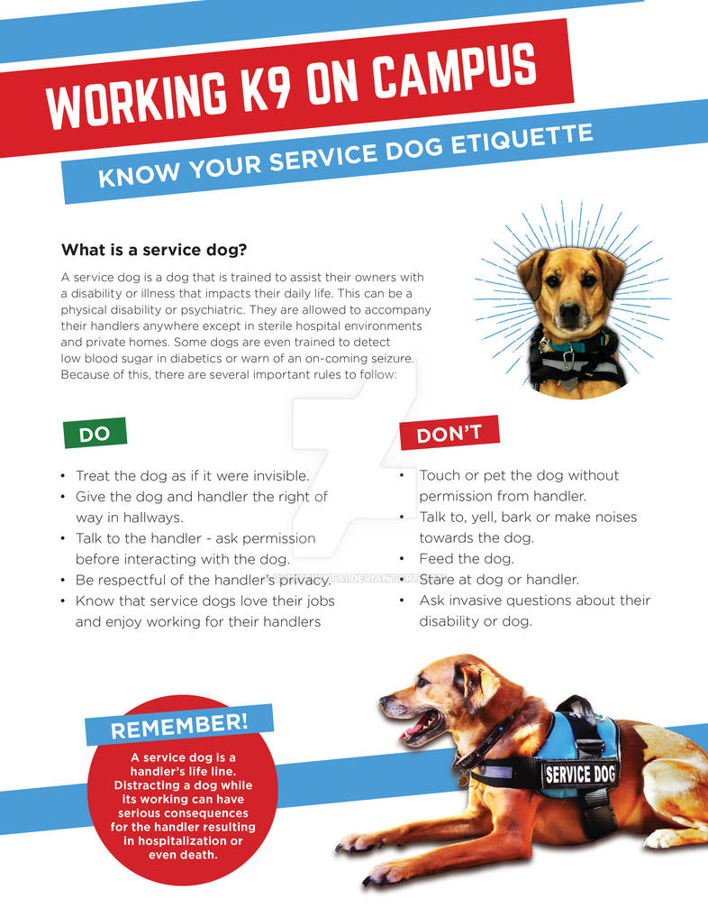Service Animals Handout.pdf Service Dog Flyer by ShinseiKatai on DeviantArt