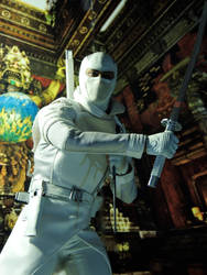 Storm Shadow - Stealth