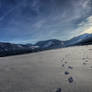 Winter Beach Stock