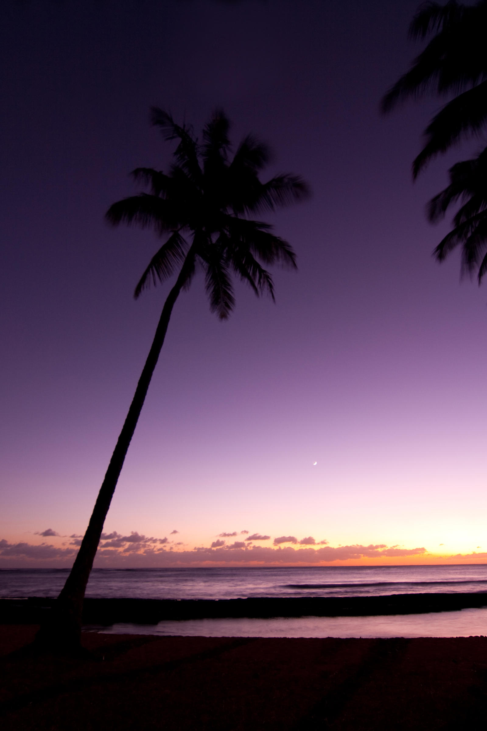 Hawaii Palm Tree Sunset Stock