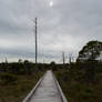 Wooden Walkway to Nowhere Stock