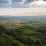 Palouse Fields Stock