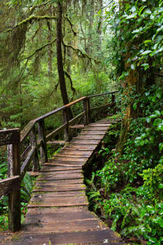 Leeorr-stock -8552 Wooden Walkway