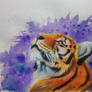 Tiger - Watercolor