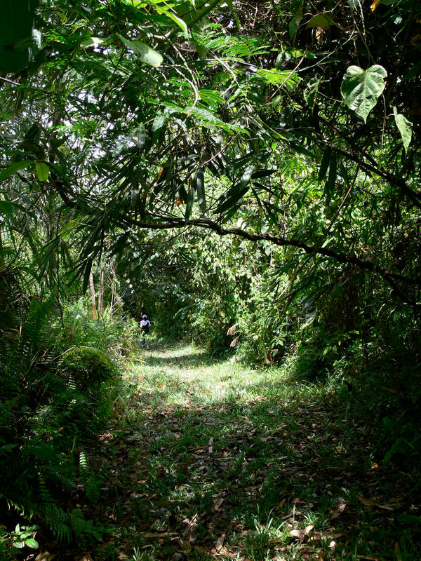 green entrance