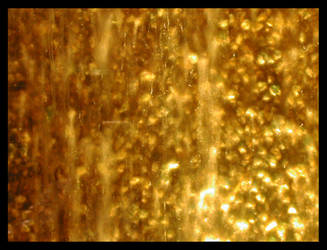 Gold II