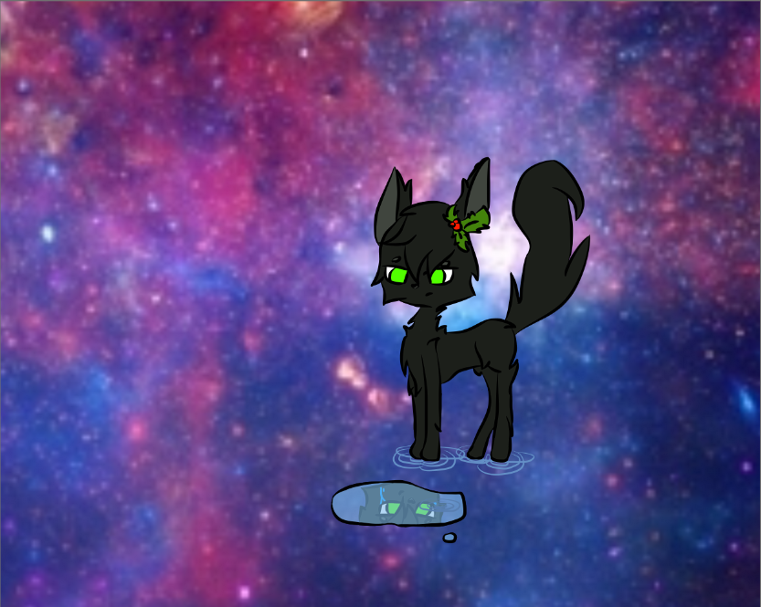 Hollyleaf ~ -OLD-