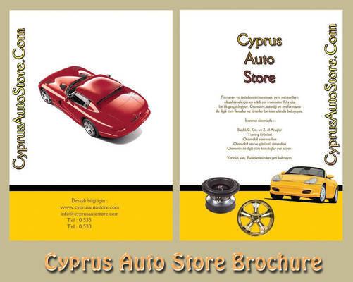 Cyprus Auto Store Brochure