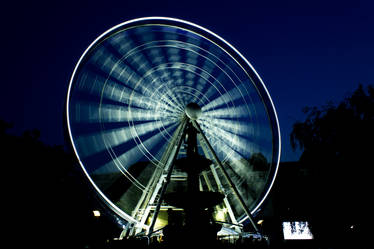 Sziget eye