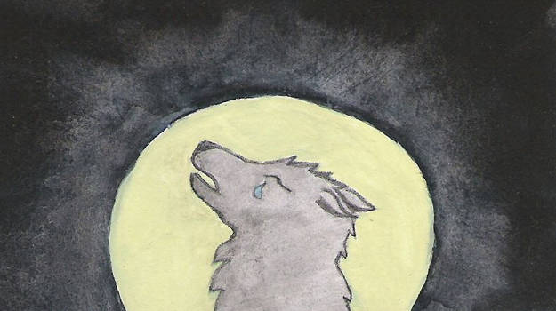 Sad wolf