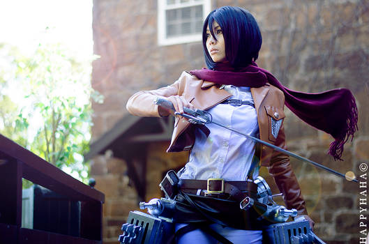 Mikasa Ackerman [1]