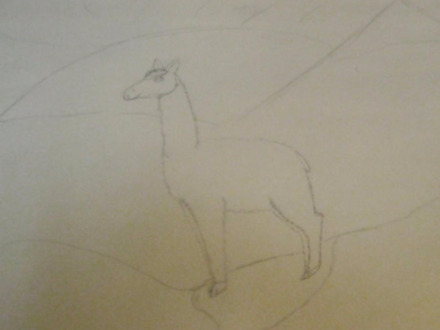 llama request