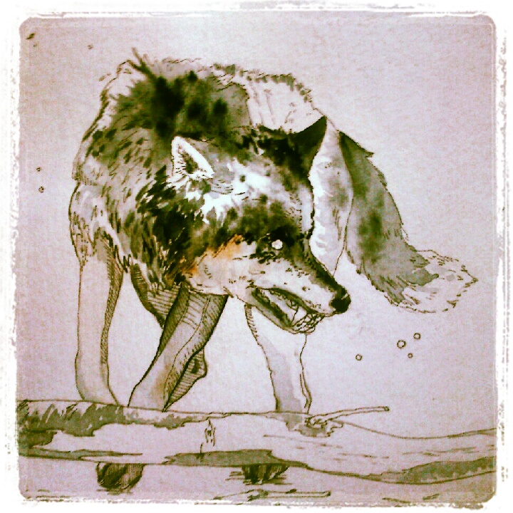 Wolf - Watercolour Study - 1