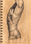 Male Anatomy Drawing