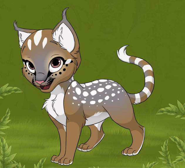 Deviantart Ringtail Ringtail by Rika101 on DeviantArt