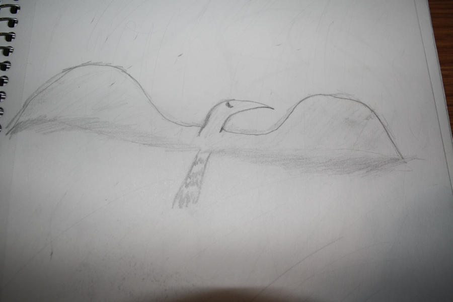Distort Bird Dragon...bird by corrupted-distortion on DeviantArt