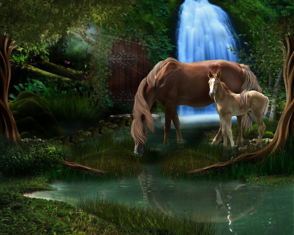 Pip Layout Contesr by LeatherHearts on DeviantArt