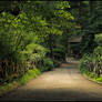 A Stroll in Central Park