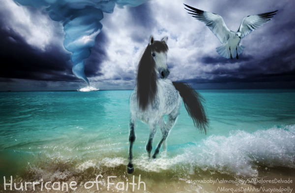 Hurricane of Faith