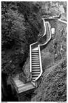 Snake stairs by bertoz