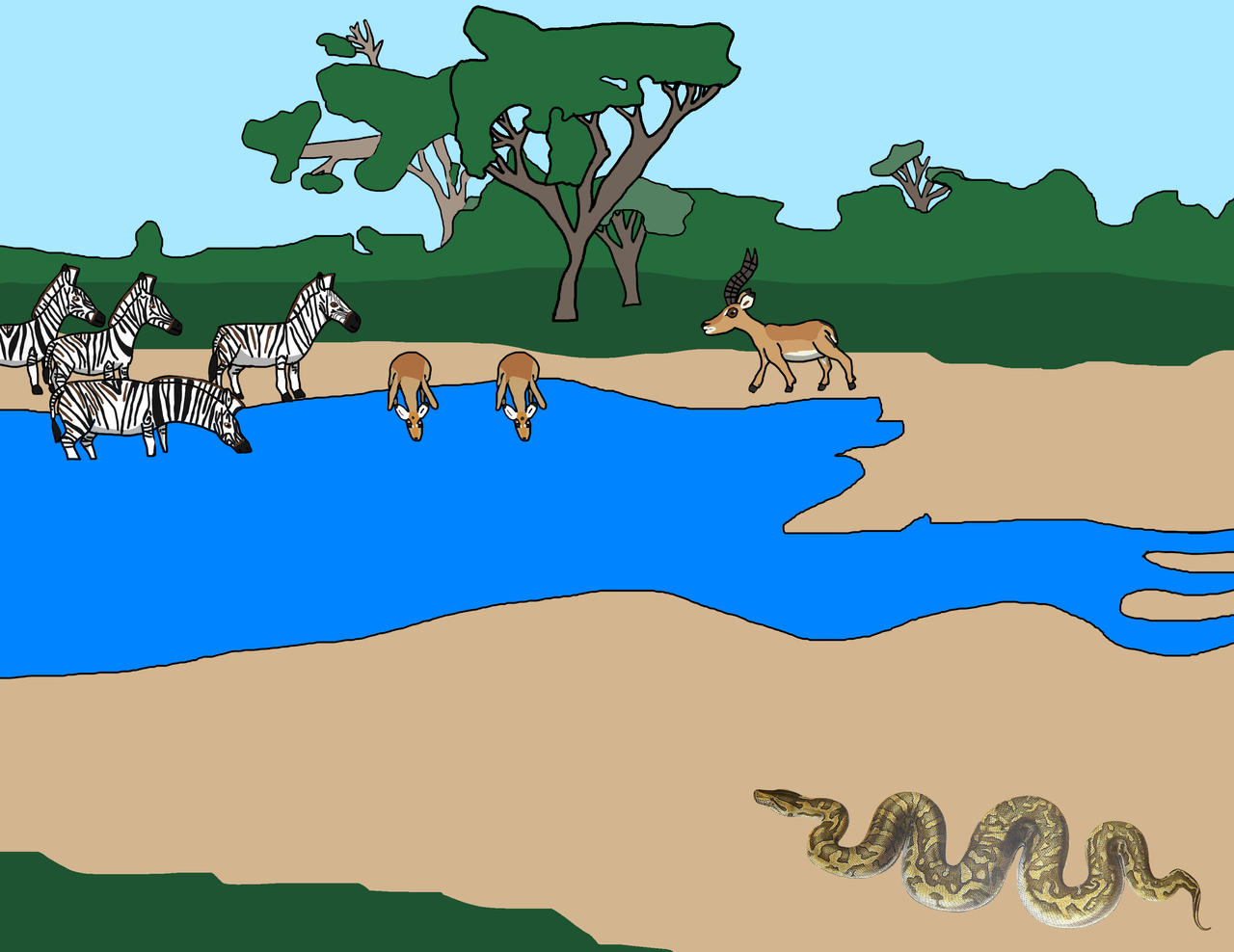 Southern African rock python by 1200924 on DeviantArt