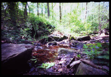 Pinhole Creek