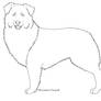 Free Australian Shepherd Lineart