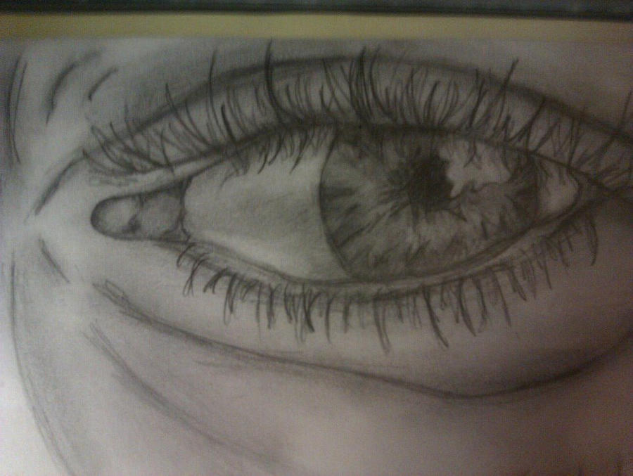 drone r'bird black master prix