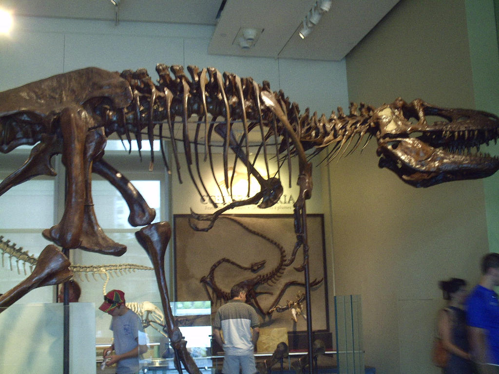 T Rex Skeleton By Fatthoron On Deviantart T Rex Skeleton By Fatthoron On Deviantart