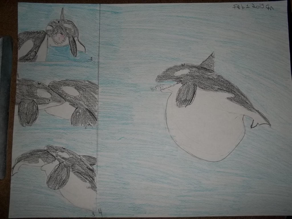 Orca Vore By Fatthoron On Deviantart Orca Vore By Fatthoron On Deviantart