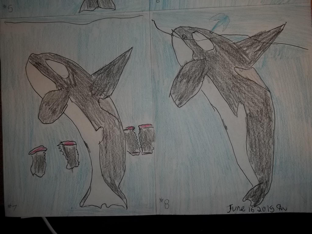 orca transformation 4 by fatthoron on DeviantArt