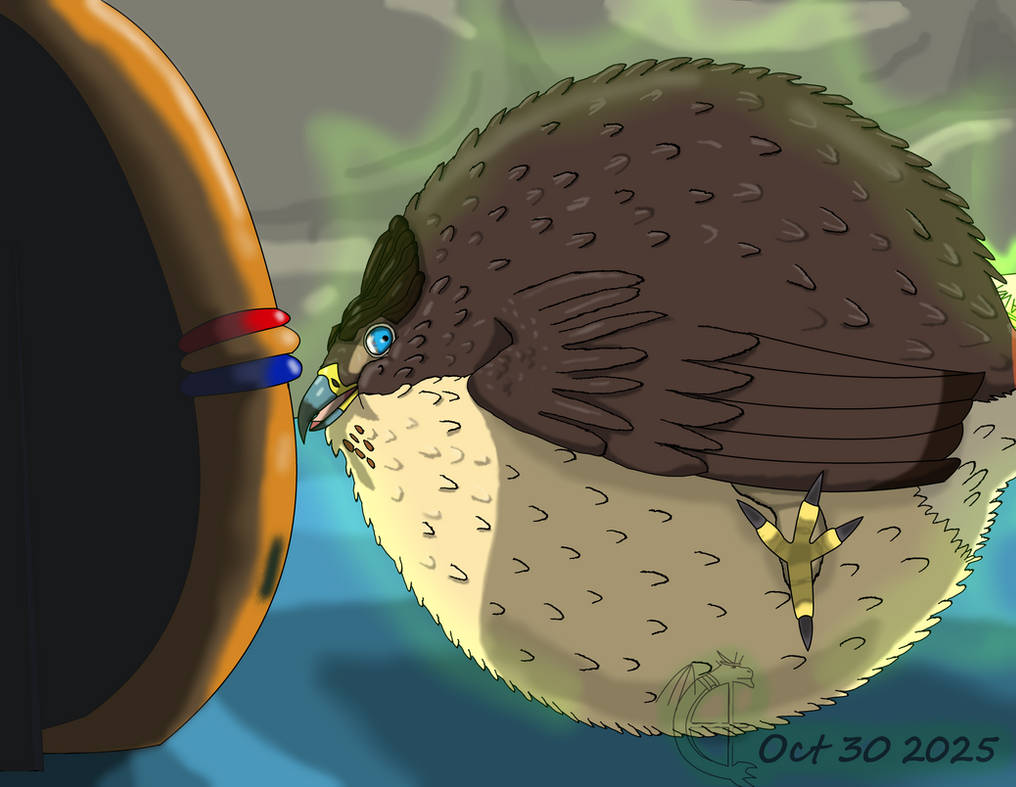 Rowan Hawk Form hawk form magical mishap by fatthoron on DeviantArt