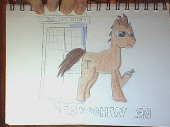 DR. Whooves (not finished)