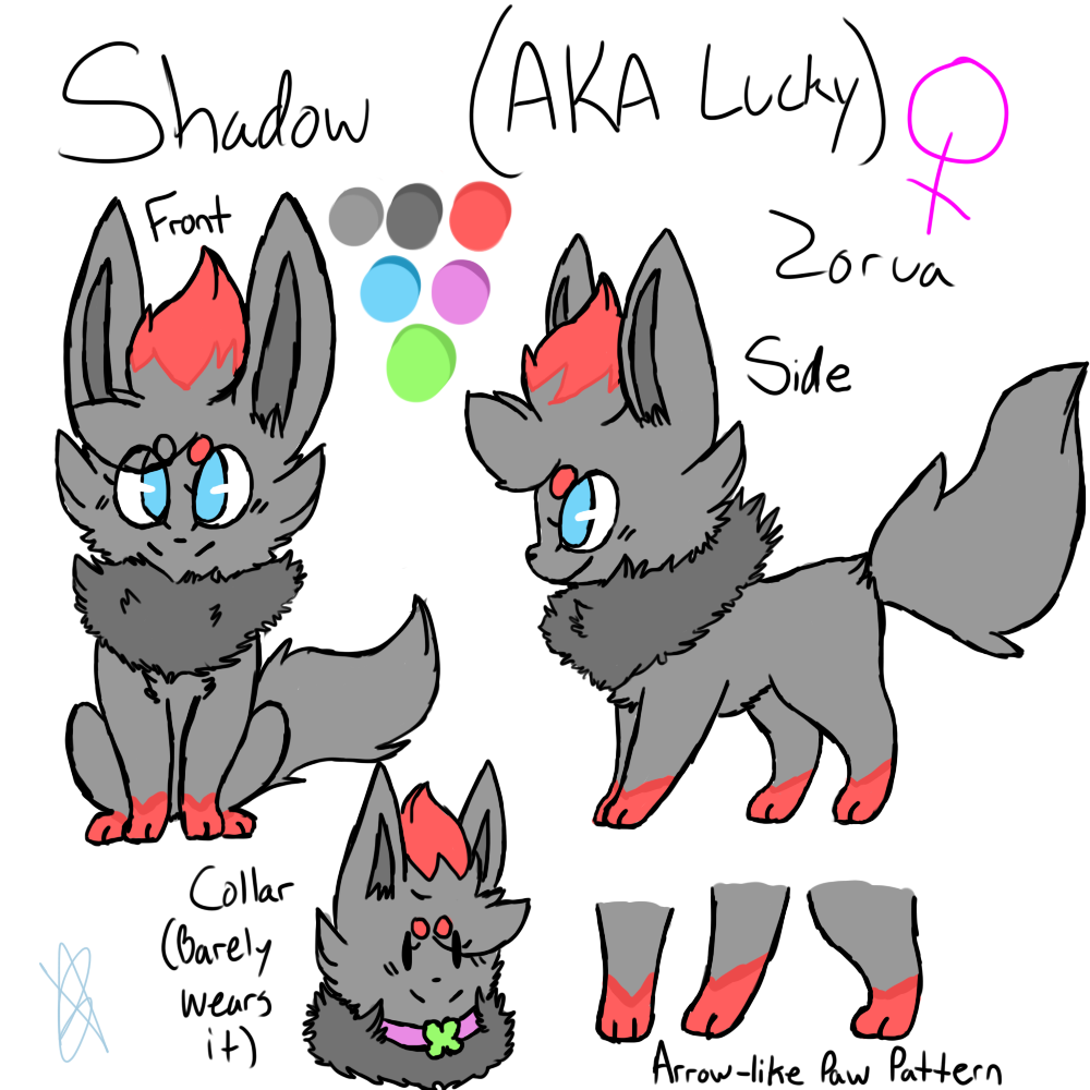 Shadow The Zorua Reference Sheet .:Gift:.