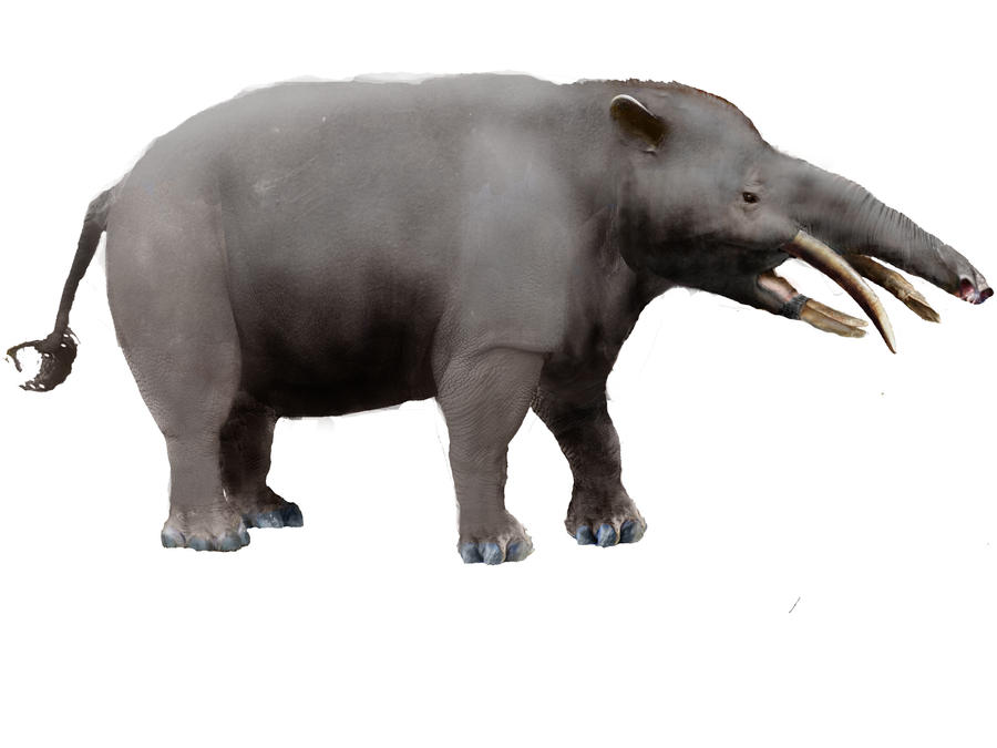 Granastrapotherium WIP